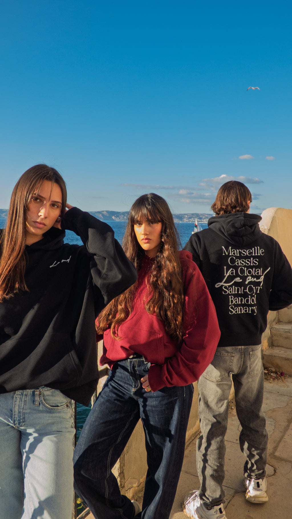 Sweat à capuche Noir - Le Sud